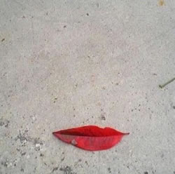 La surprise et la créativité rallument le feu de la romance